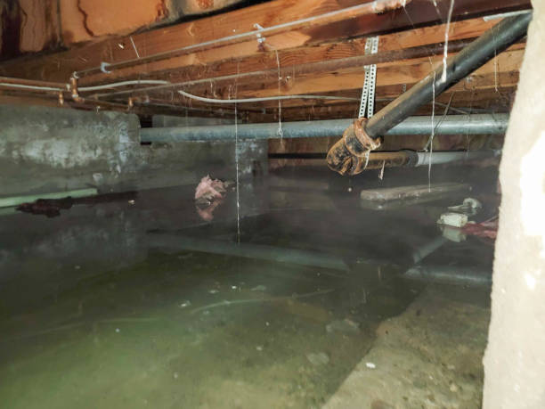 Best Commercial water damage restoration  in Vernon Hls, IL