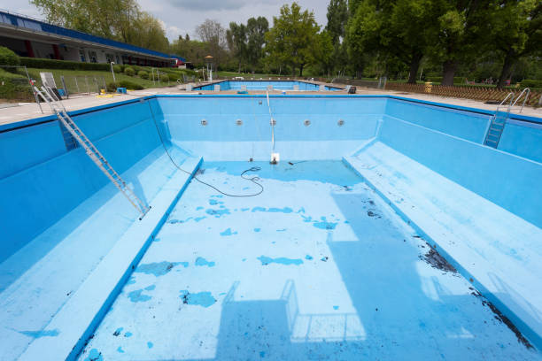 Best Mold removal after water damage  in Vernon Hls, IL