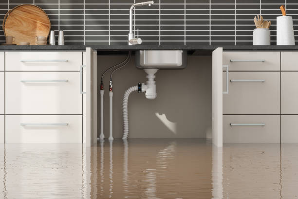 Best Water damage restoration experts  in Vernon Hls, IL