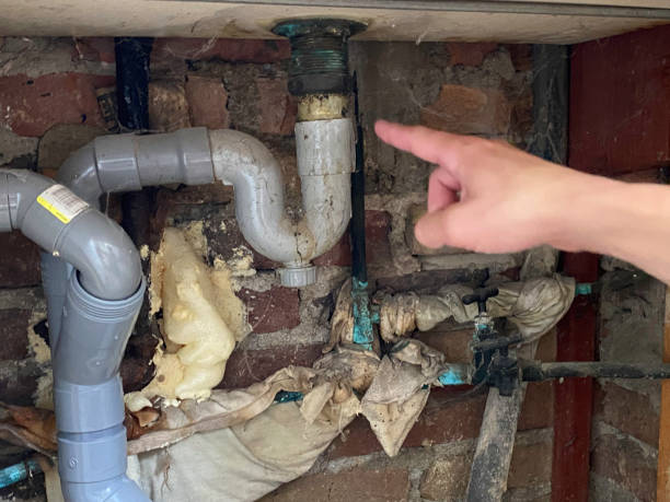 Best Water damage restoration near me  in Vernon Hls, IL