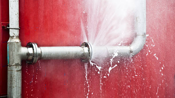 Best Carpet water damage restoration  in Vernon Hls, IL